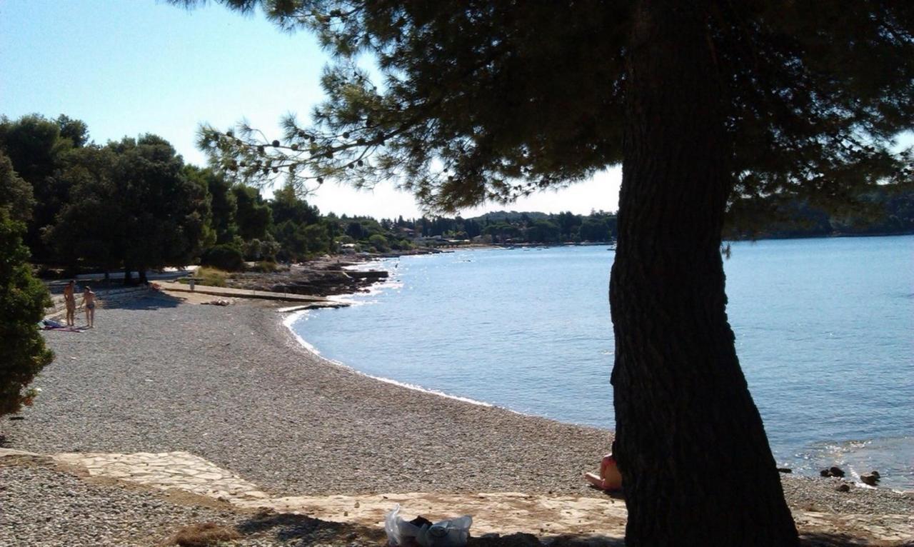 Studio Green Garden Borik Rovinj Kültér fotó